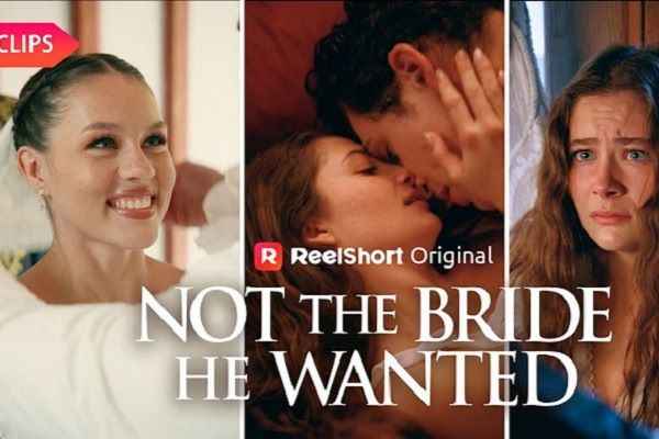 My Mate Betrayed Me So I Married The Alpha King Novel