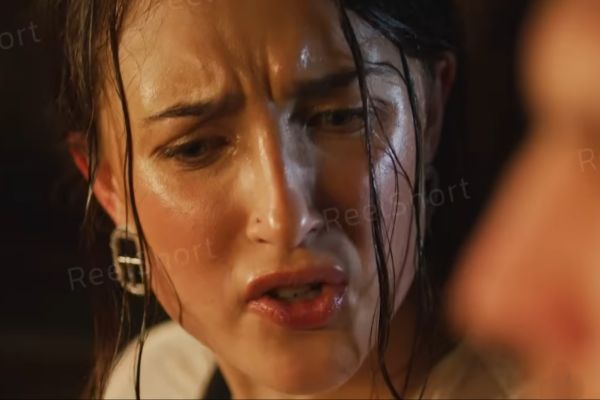 serie como conquistar uma raposa prateada